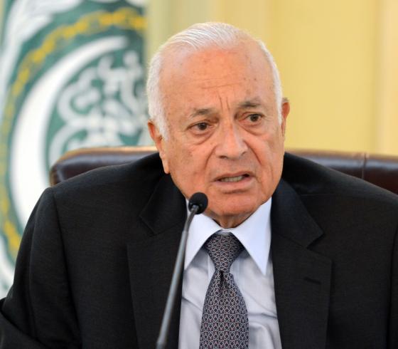 نبيل العربي