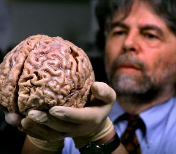 northernbrain_539952654