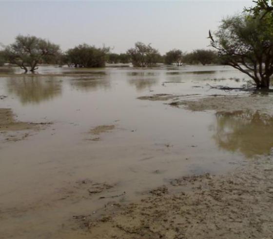 اغوار