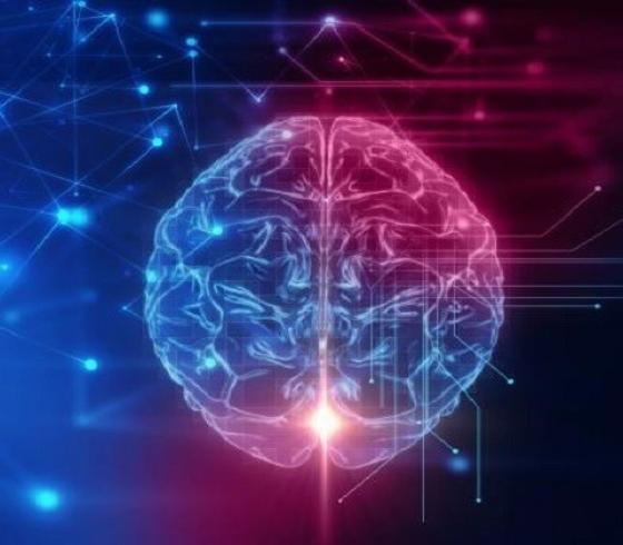 هل الرجال أذكى من النساء..؟