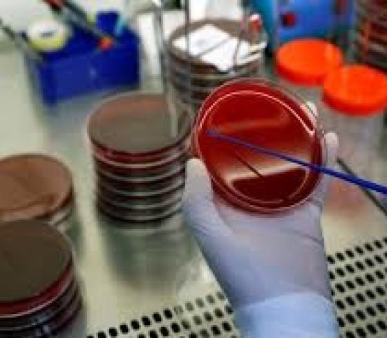 تركيا تحتل المركز الثالث في تطوير مشاريع لقاح كورونا