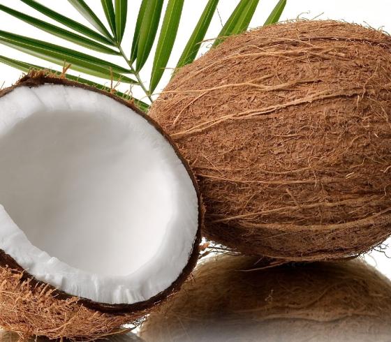 جوز الهند