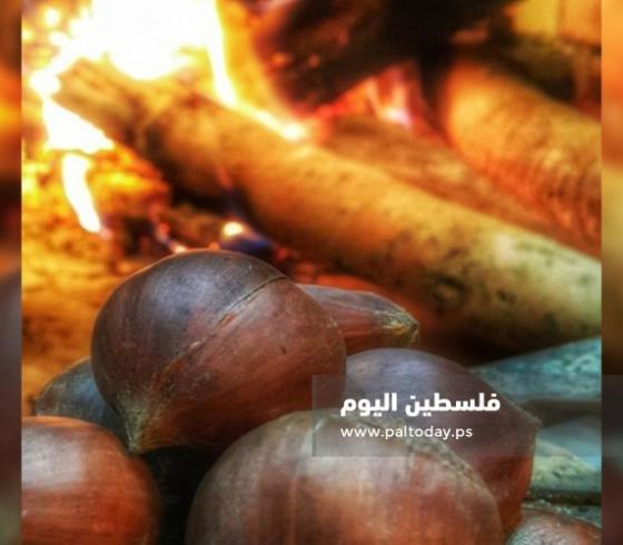 شواء كستناء
