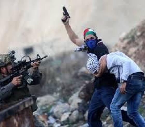 ارشيفية