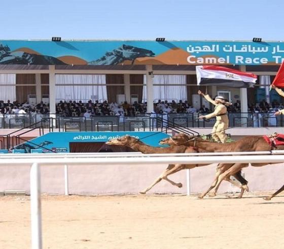 نواق