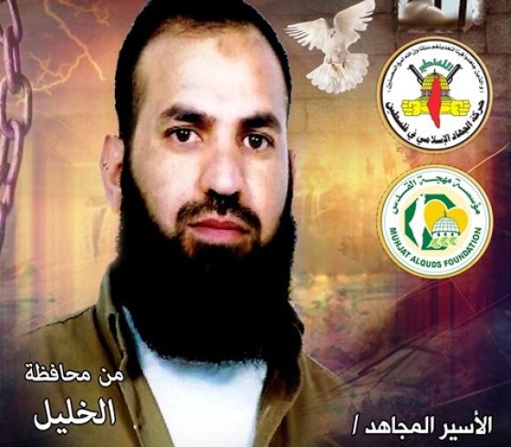 عمار القواسمة