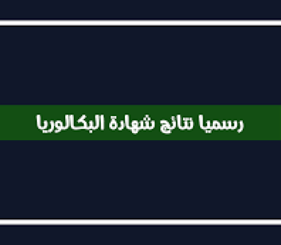 رسميا الان نتائج البكالوريا 2019 الجزائر - نتائج الباك 2019