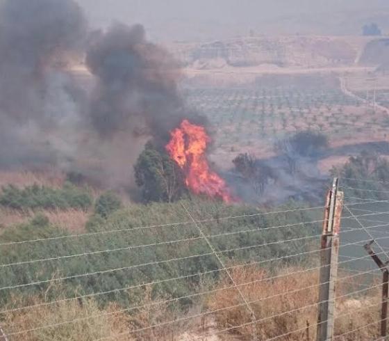حريق على حدود الاردن