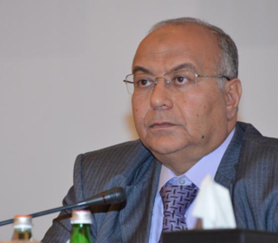 محمد السعيد ادريس
