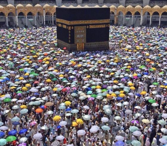 إحدى الصور المتداولة على مواقع التواصل