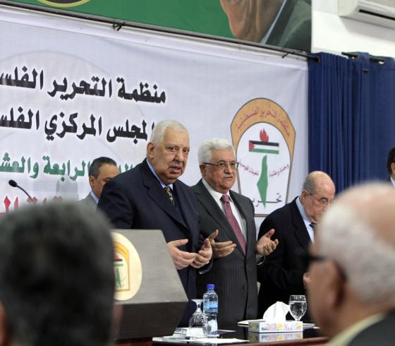 المجلس المركزي