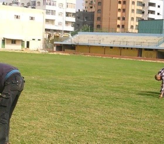 ملعب فلسطين