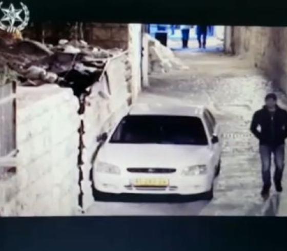صورة من الفيديو3