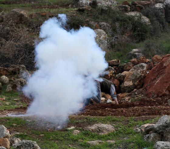 ارشيفية