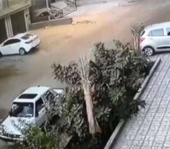 صورة من الفيديو