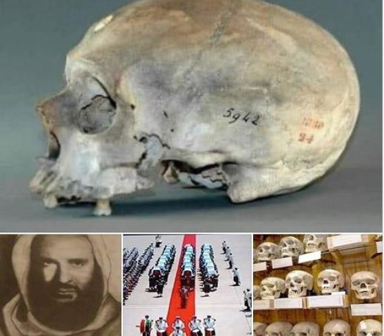 جمجمة البطل المصري.JPG