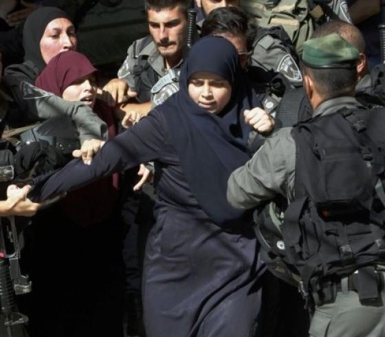 ارشيفية