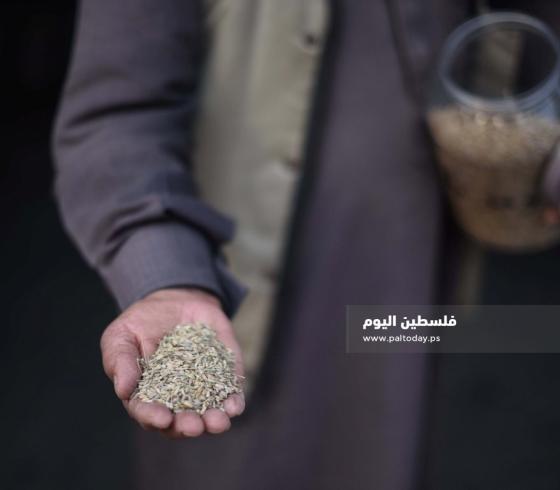 بنك البذور