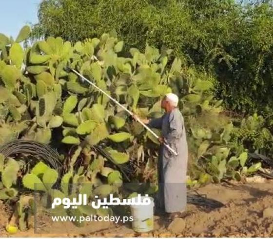 الصبر3.JPG