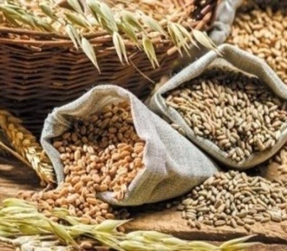 تناولها صباحاً.. 4 حبوب لإنقاص الوزن