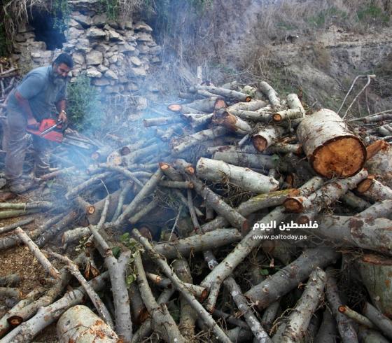 بيع الحطب