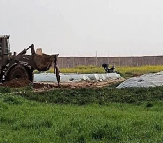 جريمة الجرافة