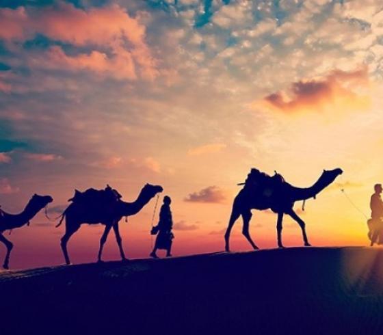 هجرة (تعبيرية)