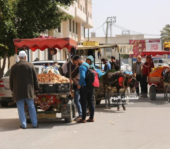 عربات الخضار للشوارع (3).JPG