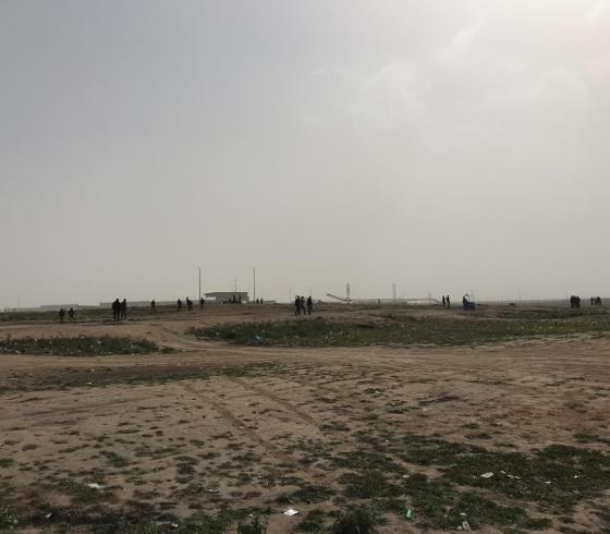 مليونية الأرض والعودة (4)