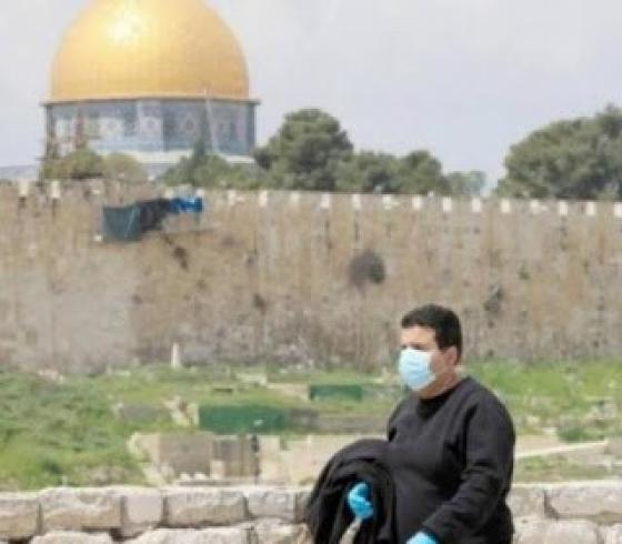 القدس كورونا