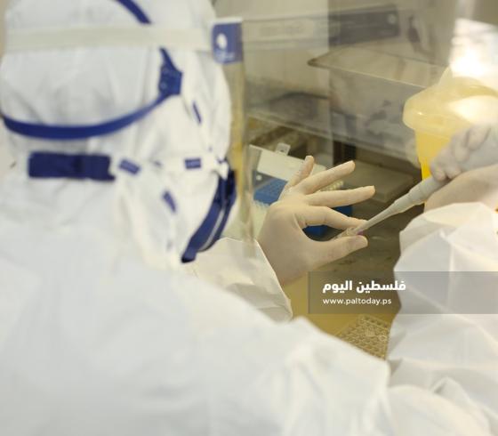 فحص كورونا بغزة  (16).JPG
