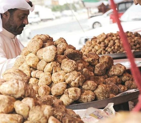بنت الرعد