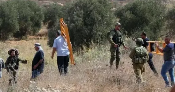 مستوطنون يخاجمون قاطفي الزيتون في نابلس