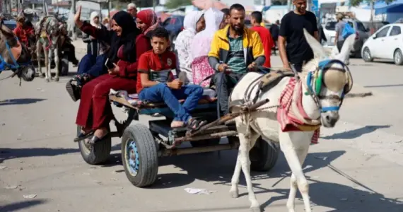 عربة يجرها حمار في غزة