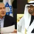 حسني محلي