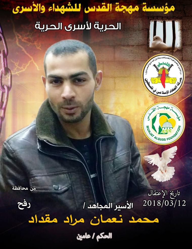 محمد مقداد