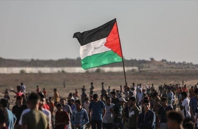 اعداد الفلسطينيين.jpg