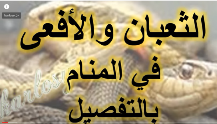 تفسير منام الأفعى في الحلم للرجل والعزباء والمتزوج والحامل
