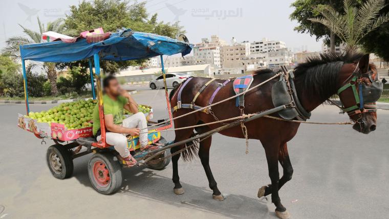 باعة تجولون في شوارع قطاع غزة (صورة من الأرشيف)