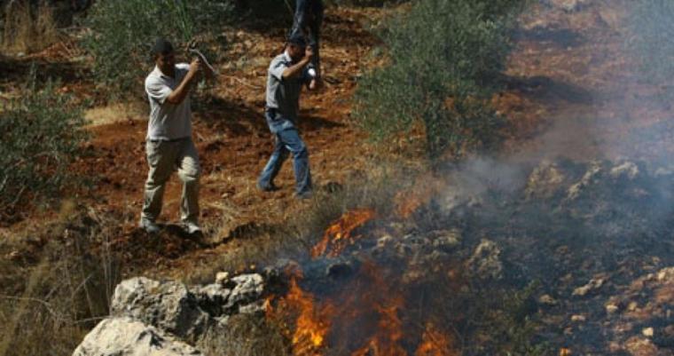 مستوطنين يحرقون اراضي زراعية.jpg