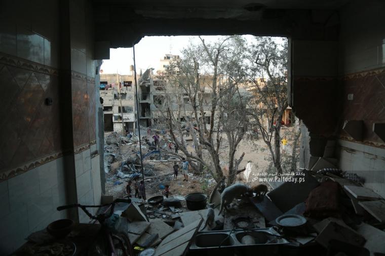 منازل مدمرة بقطاع غزة (16).JPG