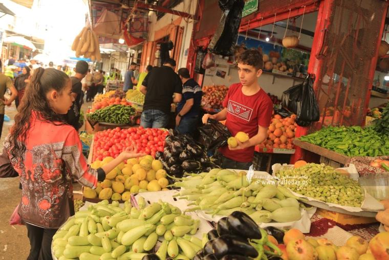 أسعار الخضروات والدجاج واللحوم في غزة اليوم الخميس 20 أكتوبر 2022