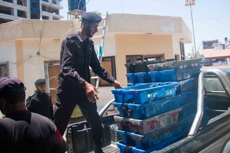 الشرطة البحرية في غزة تضبط "320" كيلو من الأسماك الملوثة.jpg