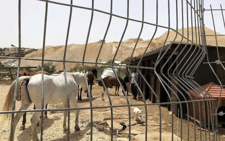 قوات الاحتلال تهدم اسطبلا للخيول في بلدة الطور بالقدس المحتلة