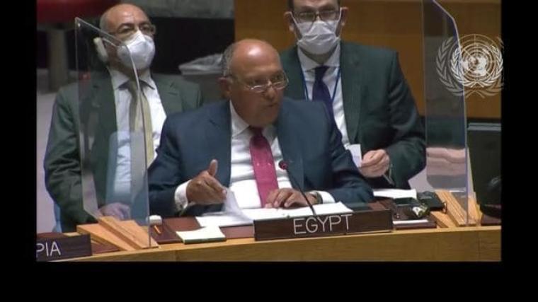 الخارجية المصرية: مفاوضات سد النهضة وصلت لطريق مسدود ومصر تواجه تهديدًا وجوديًا.jpg