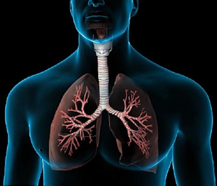 4 تمارين لتقوية الرئتين وتحسين التنفس