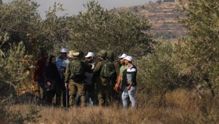 الاحتلال بخطر بوقف العمل لمزارعين جنوب بيت لحم