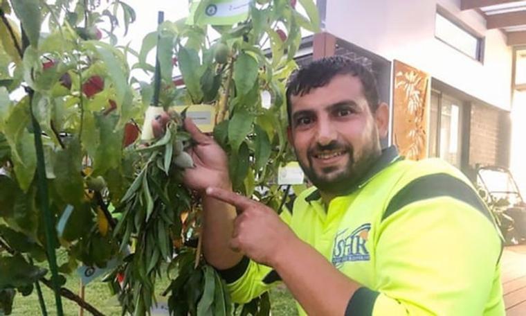 رجل يدخل موسوعة جينيس بـ"شجرة".. فما قصتها!