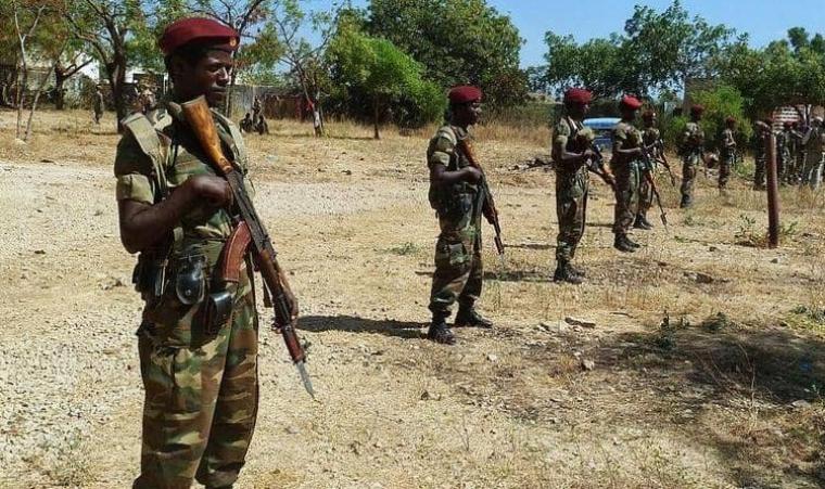 الحكومة الإثيوبية تعلن حالة الطوارئ بعد تقدم قوات تيغراي