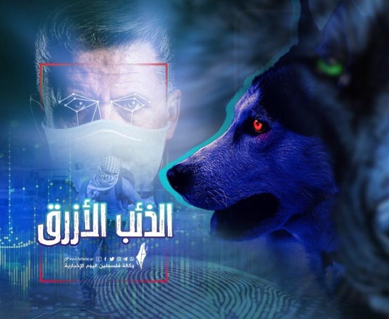 الذئب الأزرق